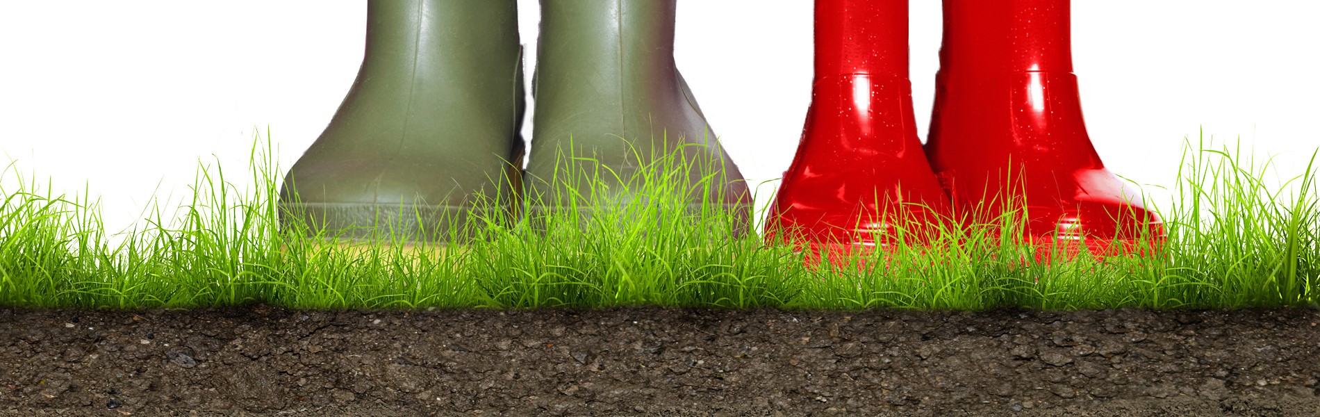 Header de nieuwe boedemgoed