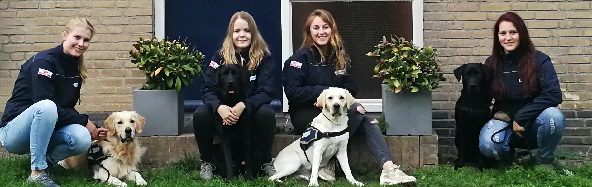 Nominatie Dutch Pet Award voor Het Hulphondenhuis van Aeres Hogeschool Dronten