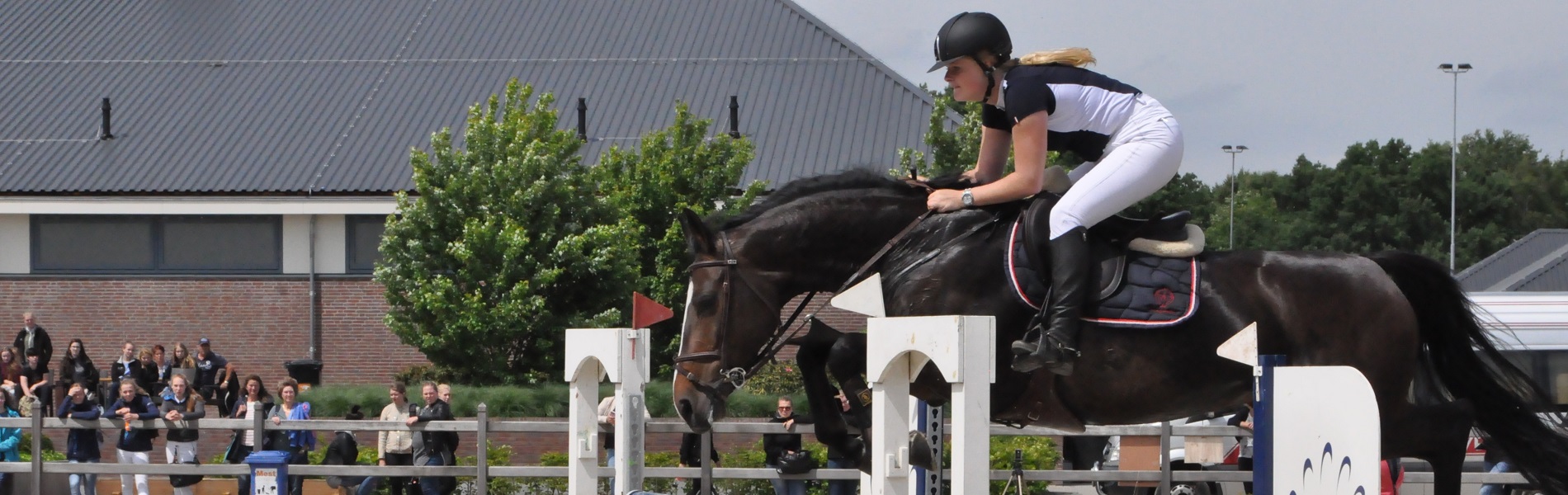 Scholenconcours 2017