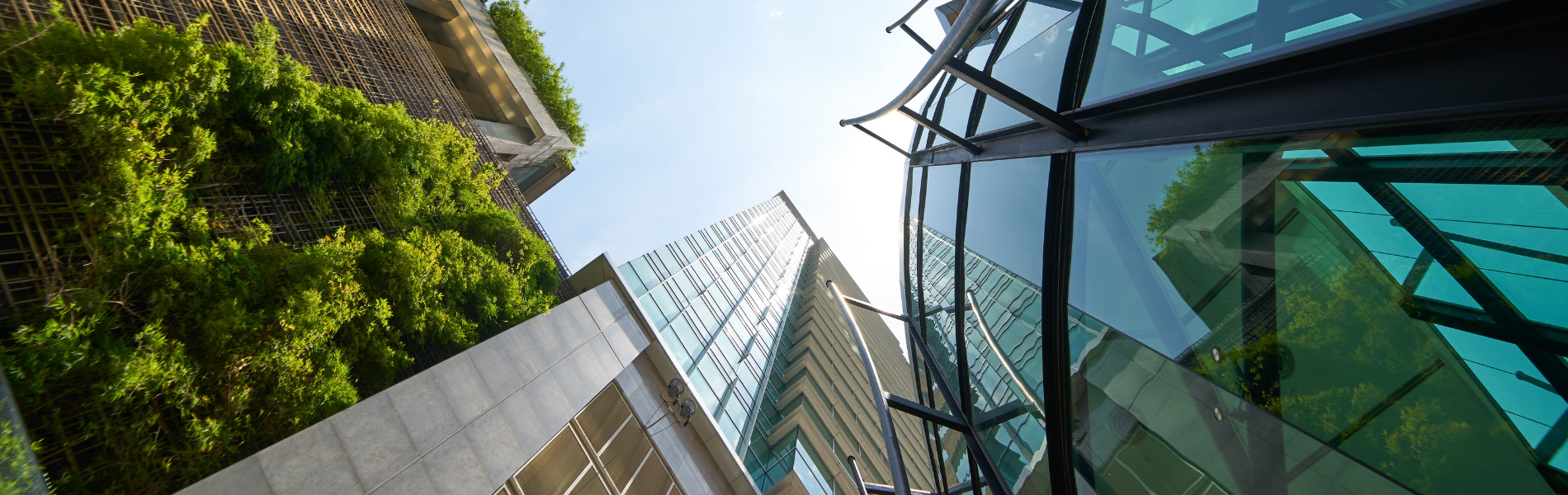 Onderzoeksprogramma Gezond leven in de groene stad