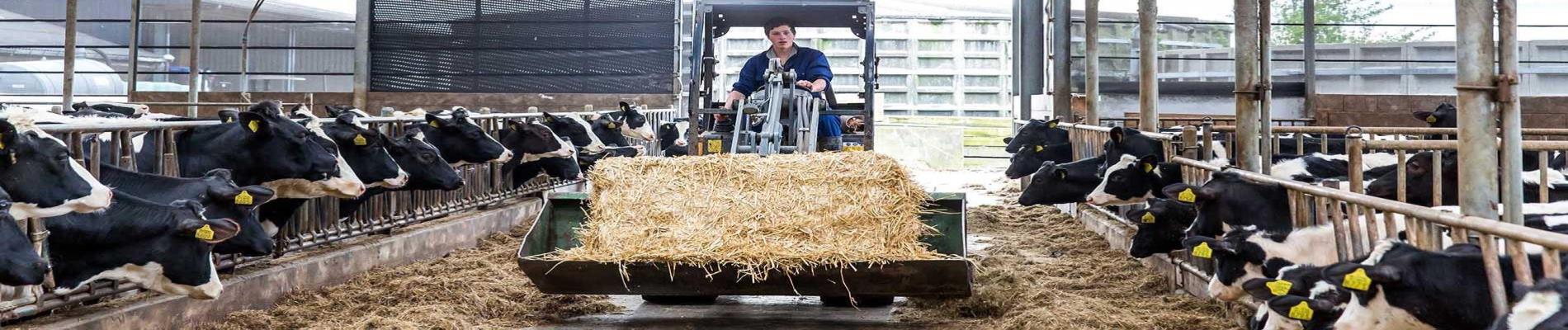 Aeres MBO Melkveehouderij header mbo