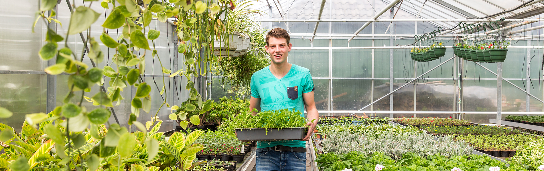 Aeres MBO Plantenteelt header mbo