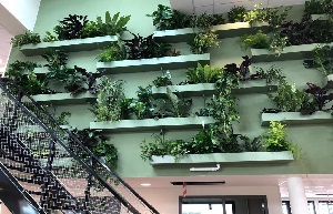 Interieurbeplanting Aeres Hogeschool Almere