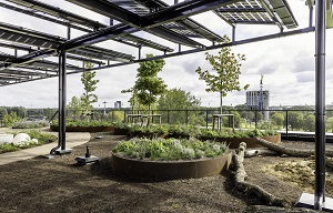 Daktuin Aeres Hogeschool Almere