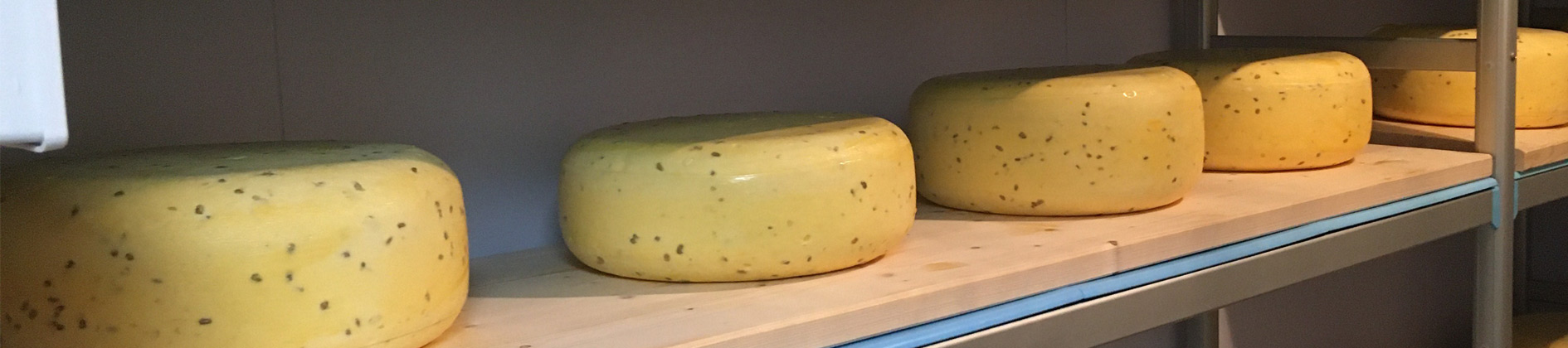 Kazen rijpen op de plank