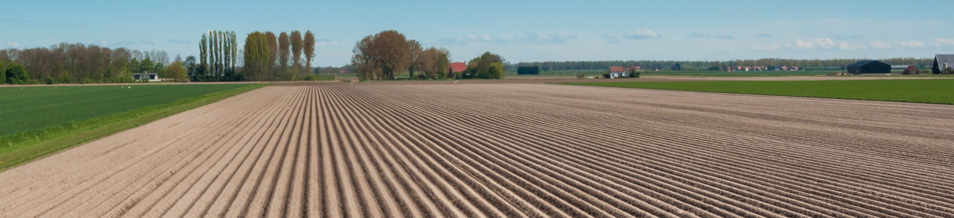 organisatiestructuur aeres 