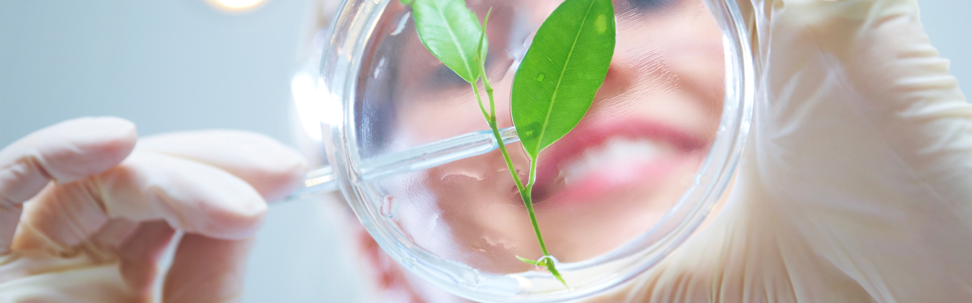 Onderzoek petrischaaltje