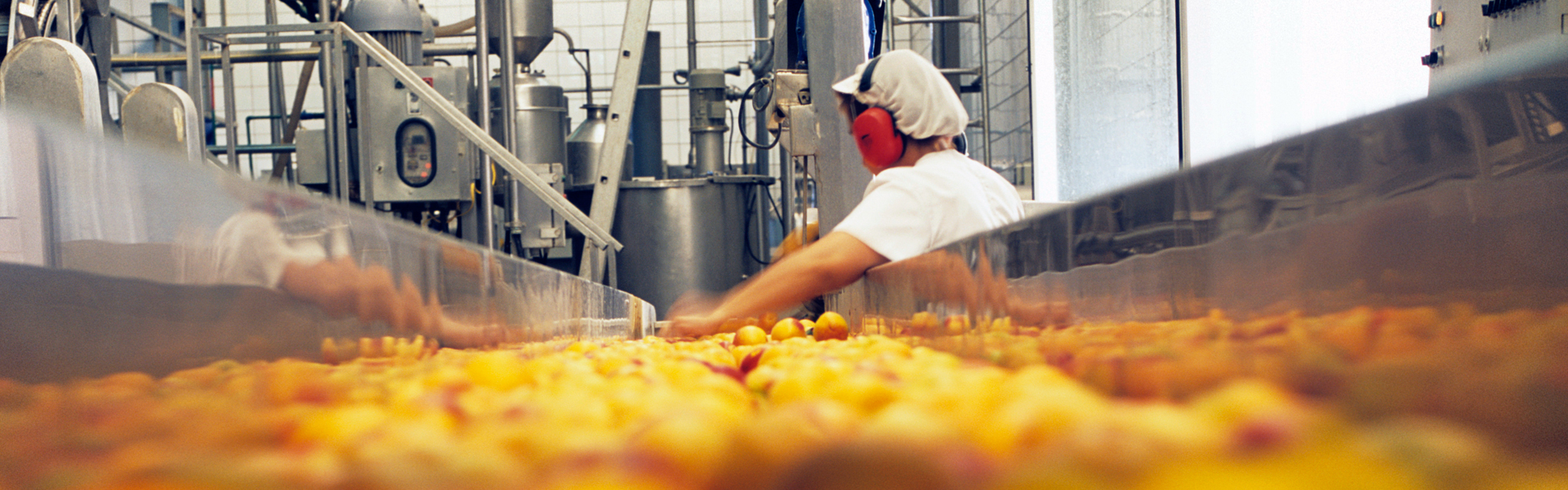 Voeding voedsel technologie