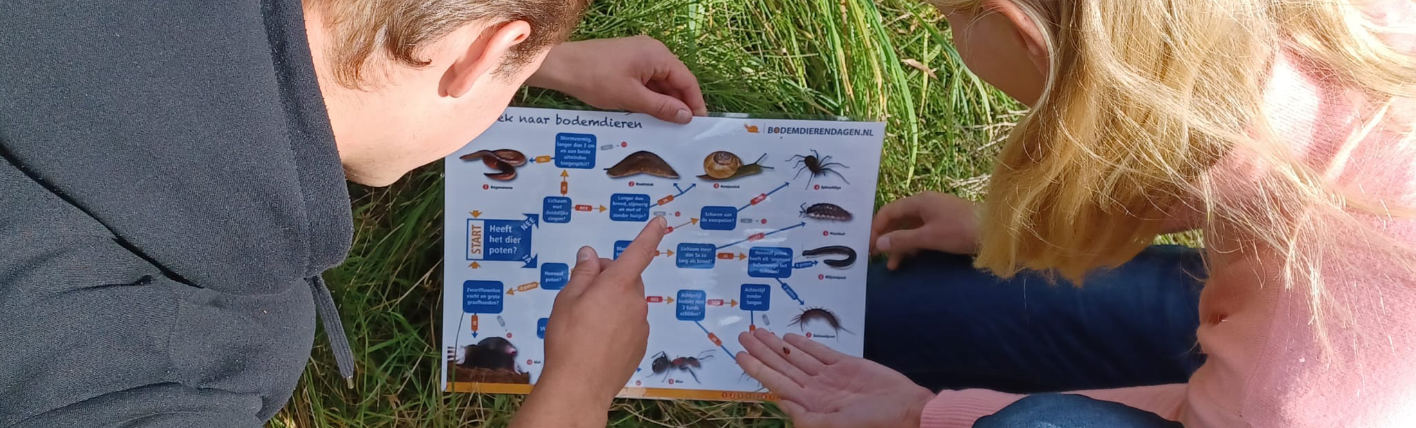 Lesmateriaal biodiversiteit  Aeres VMBO en MBO header