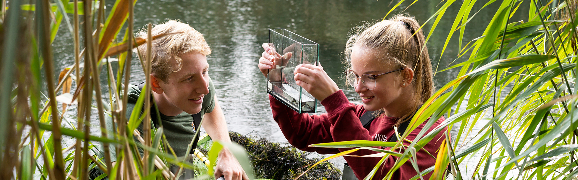 Doorlopende leerlijn mbo hbo Toegepaste Biologie