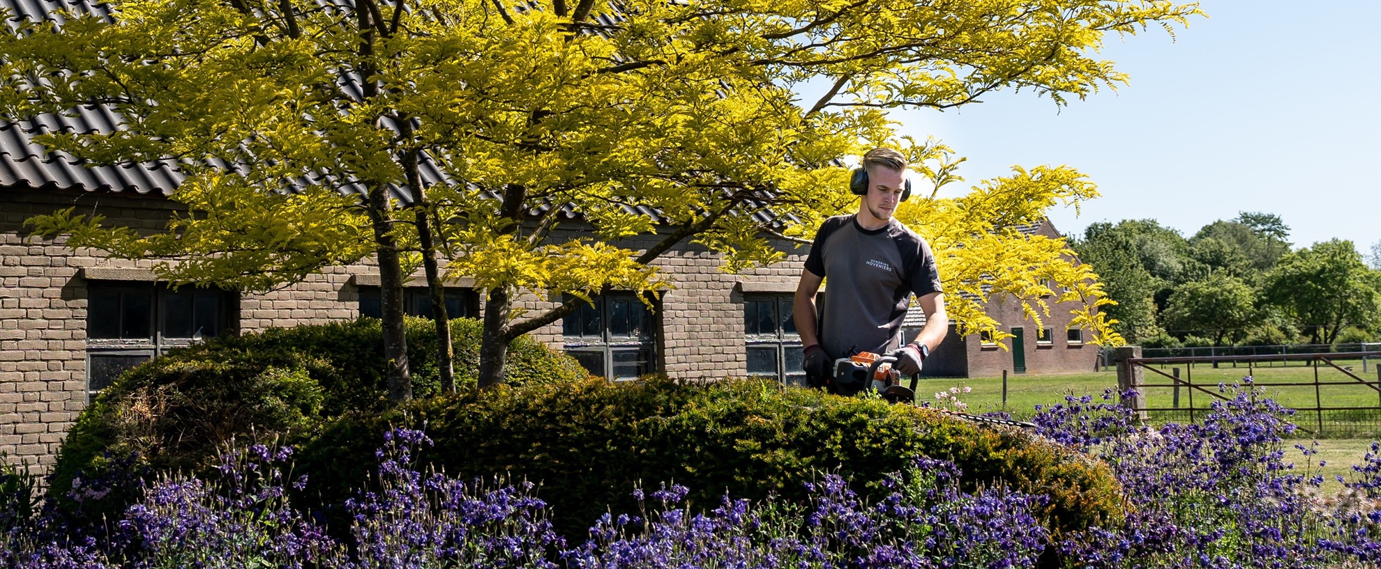 Hovenierssector profiteert van de coronacrisis