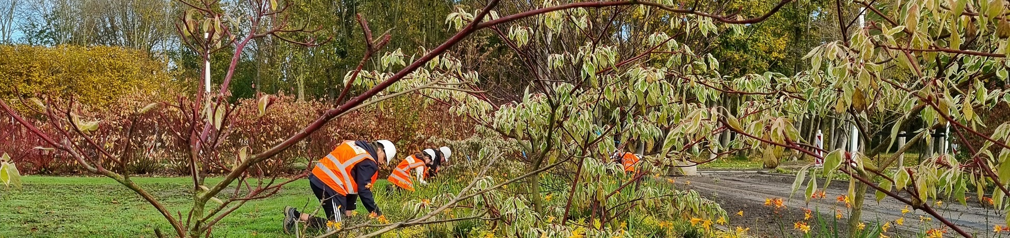 PRO-leerlingen Emmeloord poten bloembollen voor de Floriade 2022