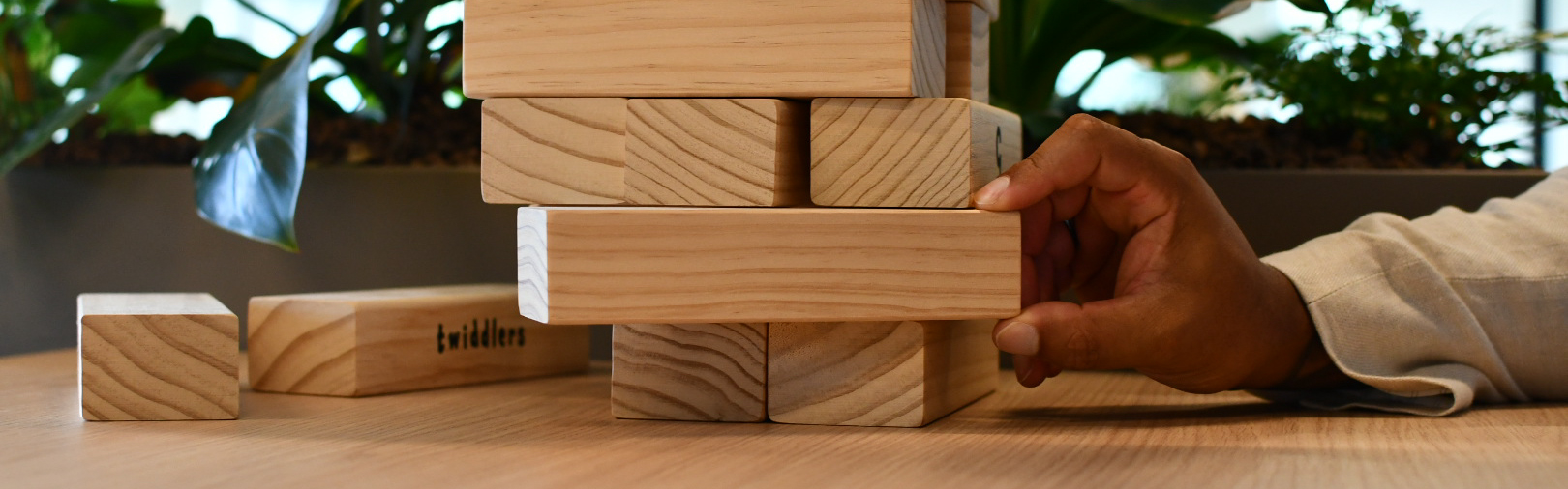 Practoraat Stedelijk Ecologisch Gedrag web2