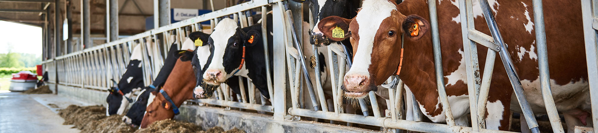 Aeres partner in de Zuivelacademie