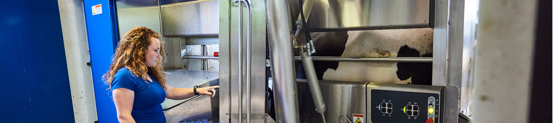 Student bij melkrobot