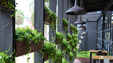 Groene leefruimte jaarimpressie 2019