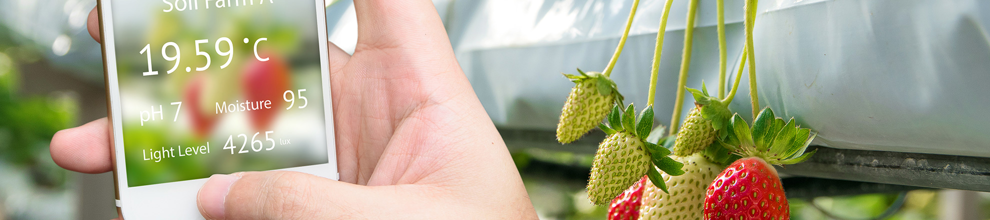 Sensoring tuinbouw jaarimpressie 2019