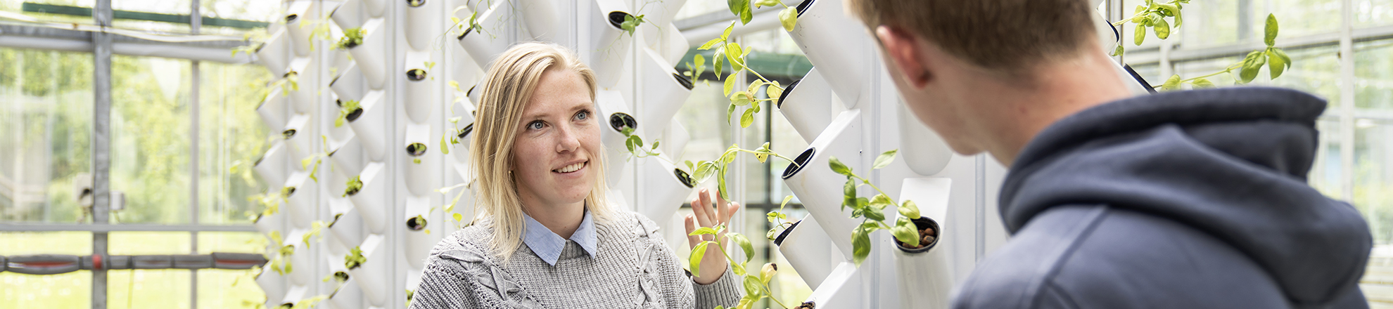 Header contentpagina e-magazine Groene Veranderaar