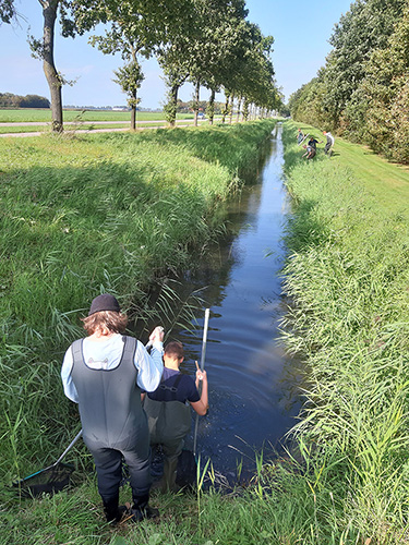 Leerlingen aan het werk in de sloot