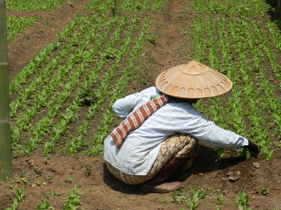 Aeres Internationaal