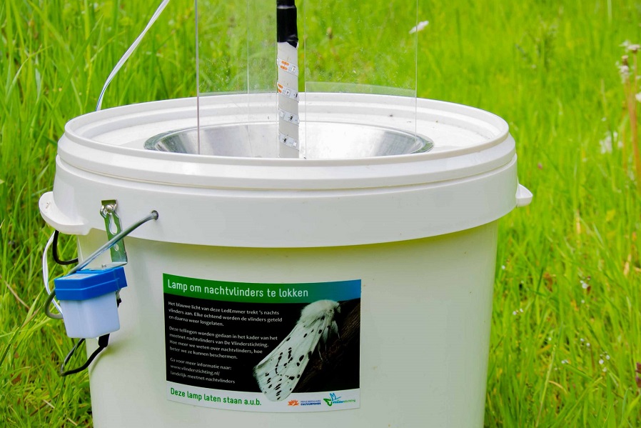 Rewilding meetmethode ledemmer