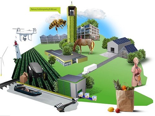 25 jaar vmbo - 8 groene werelden
